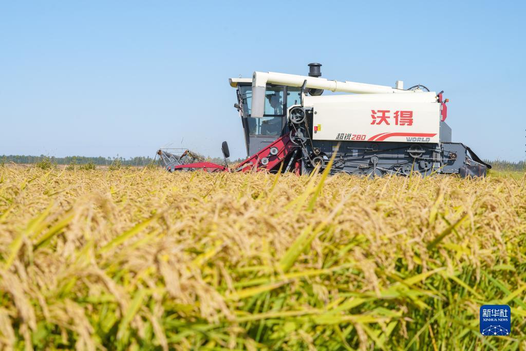 浩博最新地址